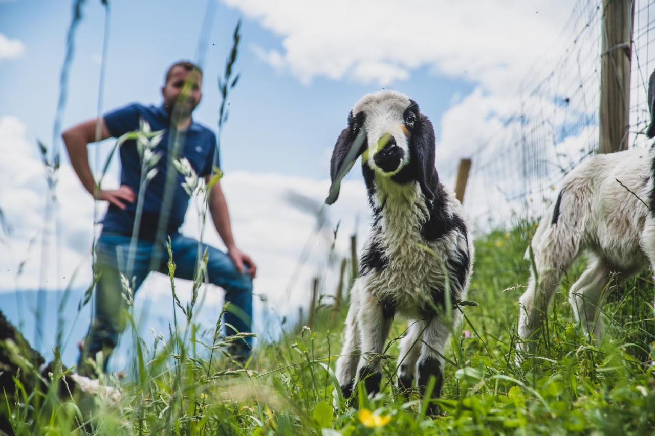 Ferienwohnungen Wiesbauer Schenna Exteriér fotografie