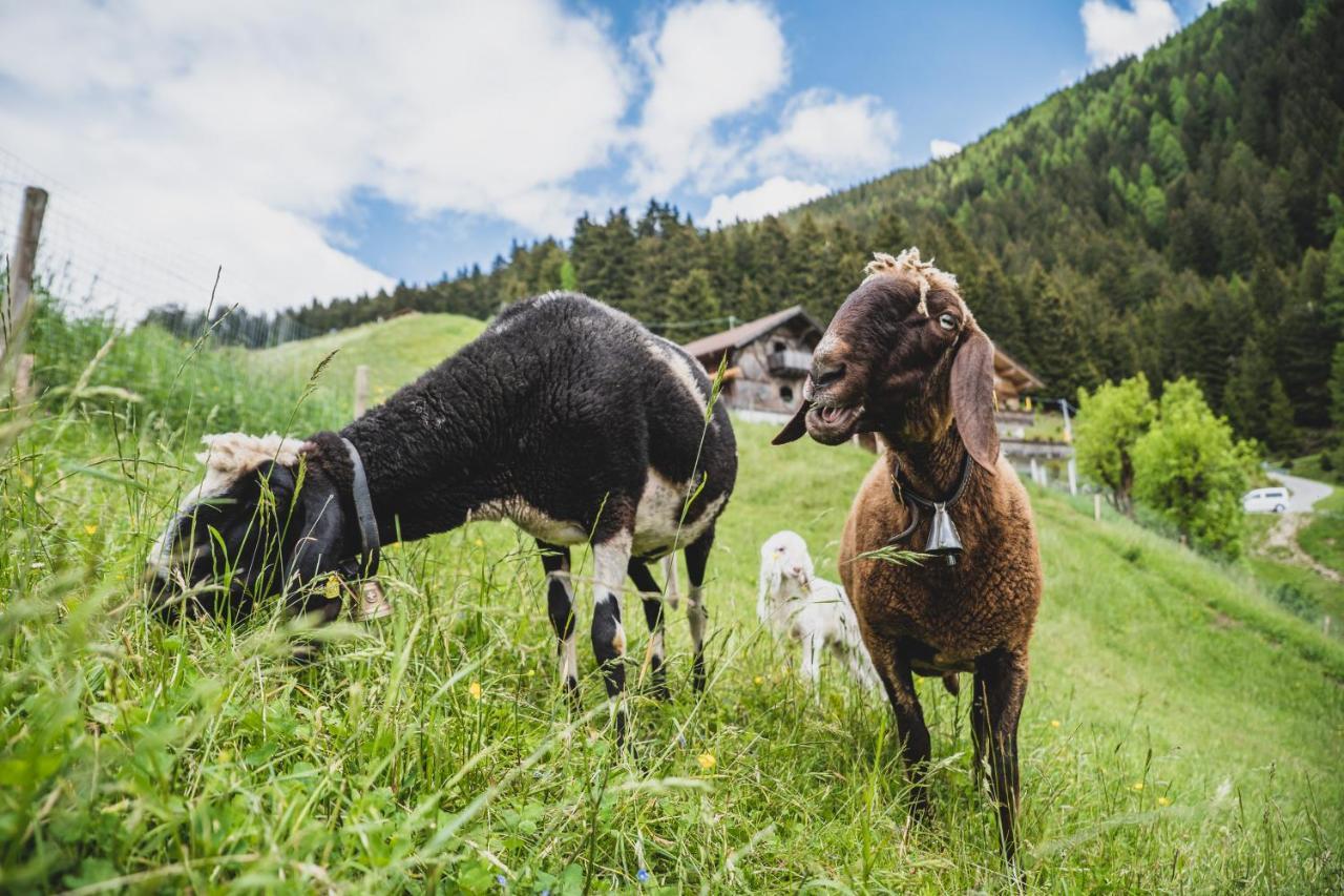 Ferienwohnungen Wiesbauer Schenna Exteriér fotografie